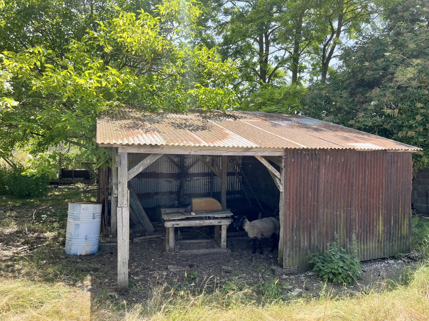 property